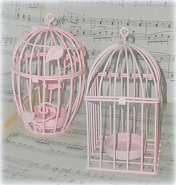Pink Birdcages