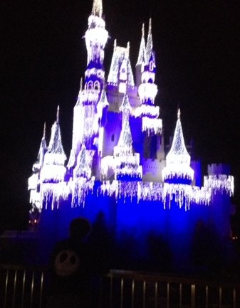 Magic Kingdom Castle at Christmas