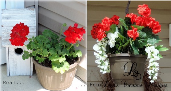 real or faux geraniums