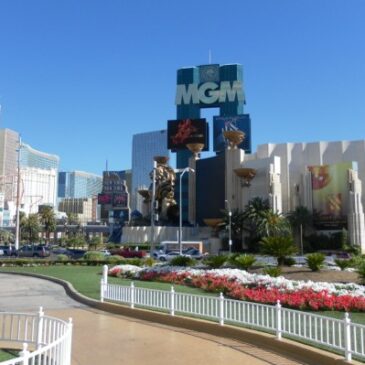 A Day In The Life…Hello From  Las Vegas!