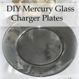 DIY Mercury Glass Charger Plates Craft Project