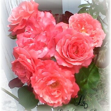 Happy Mother’s Day To All