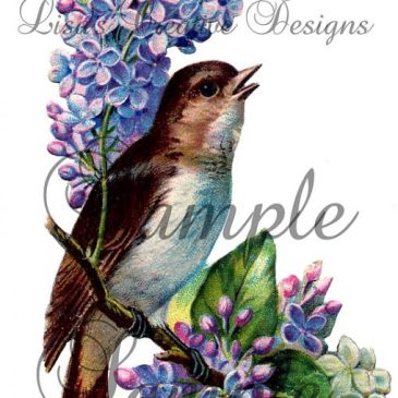 Vintage Bird Digital Download