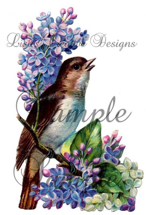 Vintage Bird Digital Download Printables & Craft Supplies