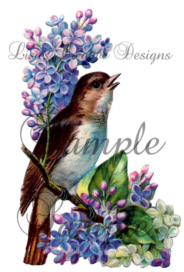 Vintage Bird Image Lilacs Digital Download For Your Craft Projects