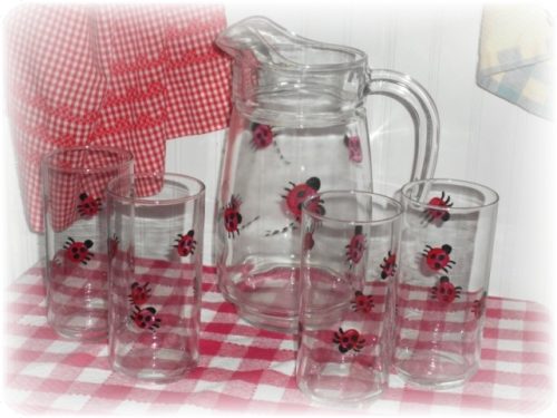 Hand Painted Country Lady Bug Glass and Pitcher Set