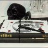 Macabre Vintage Skeleton Halloween Book Bundle Halloween & Fall