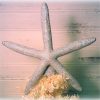 Handmade Silver Starfish Christmas Tree Topper