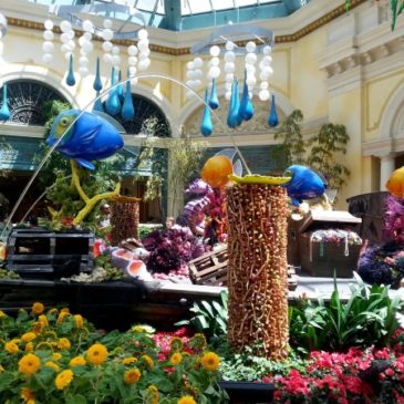 The Prettier Side Of Vegas Part 1: The Bellagio’s Conservatory