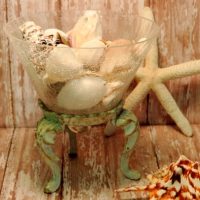 Seashell Filled Glass Container On Metal Stand