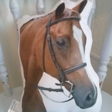 Custom Made Huggable Horse Photo Pillow