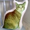 Custom Cat Photo Pillow