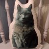 Personalized Cat Photo Pillow