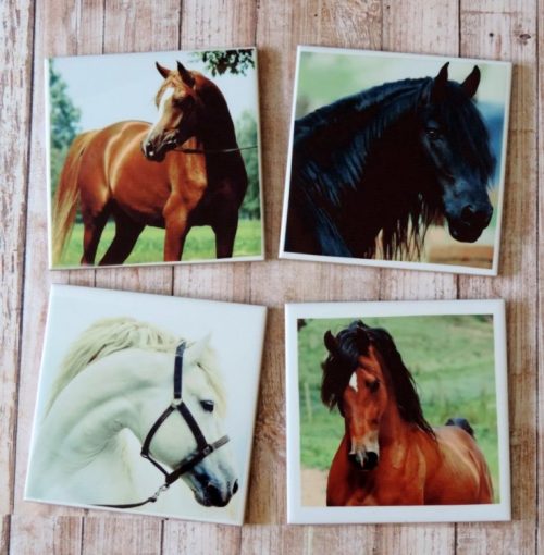 Beautiful Horse Photo Coaster Set Horse Lover gift