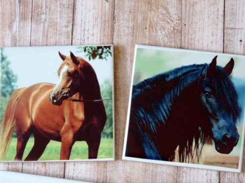Beautiful Horse Photo Coaster Set, Ceramic Horse Coasters Coaster Sets and Mugs