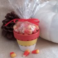 Hand Painted Candy Corn Favors For Halloween and Thanksgiving