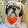 Personalized I WOOF YOU Dog Photo Pillow