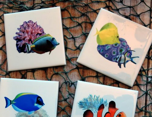 Saltwater Fish Coasters