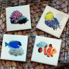 Saltwater Tropical Fish and Coral Coaster Set