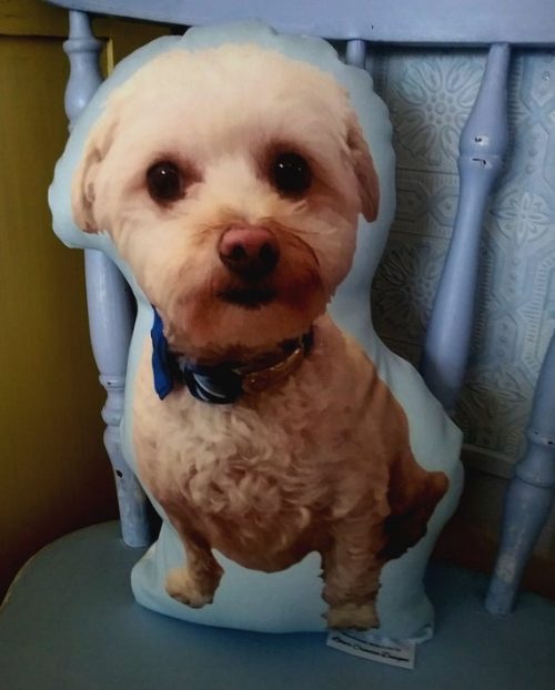 Custom Pet Portrait Pillow Made From Your Photo Custom Made and Personalized Goods