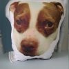 Custom Funny Face Pillow Made From Your Photo | Funny Gag Gift Custom Pretty Pillows