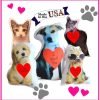 Personalized Pet Photo Valentine's Day Gift