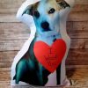 Valentine Dog Photo Pillow
