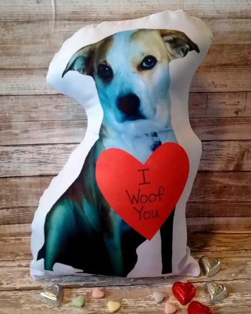 Valentine Dog Photo Pillow