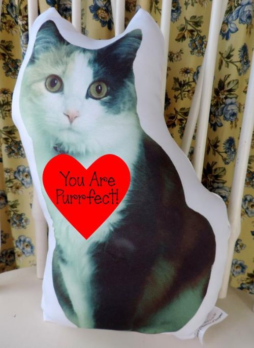 Personalized Huggable Valentine Pet Photo Pillow Custom Made and Personalized Goods