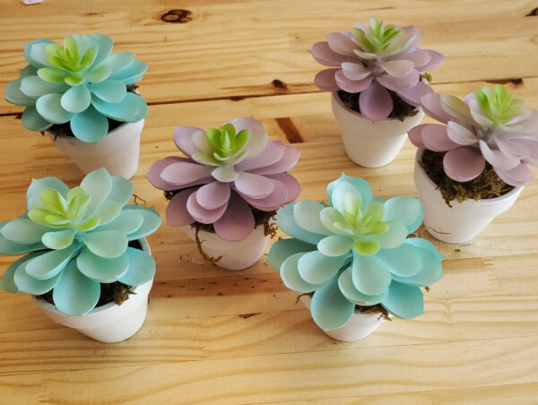 Faux Succulents from Dollar Tree in Clay Pots