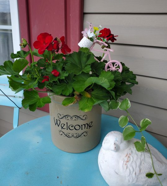 Custom Designed Flower Pot Crock