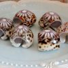 Cowrie Seashell Napkin Rings – Set of 4 Coastal Table Decor | Beachcore Style | Ocean-Inspired Dining | Beach Wedding or Summer Host Gift