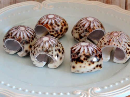 Cowrie Seashell Napkin Rings – Set of 4 Coastal Table Decor | Beachcore Style | Ocean-Inspired Dining | Beach Wedding or Summer Host Gift